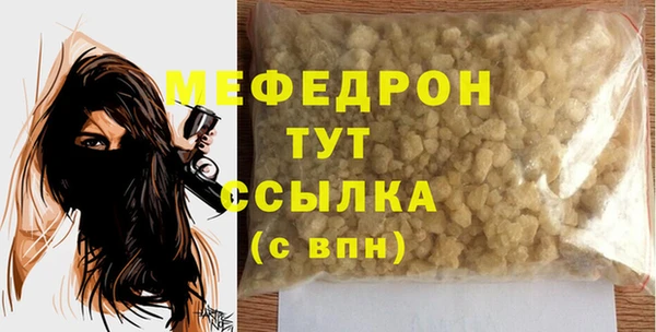 spice Богородицк